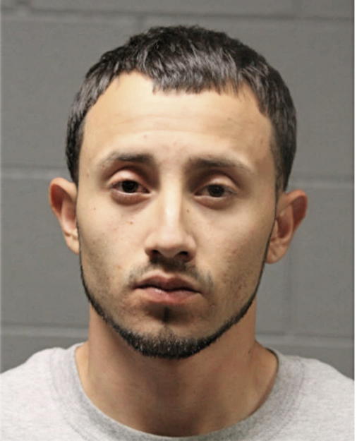 JAVIER LARES URBINA, Cook County, Illinois