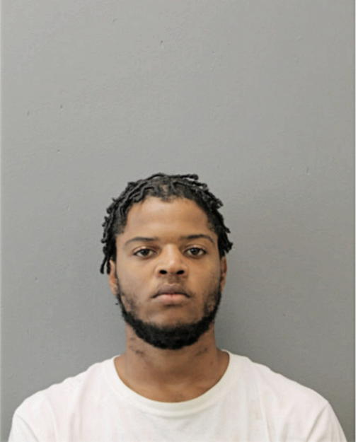 JULIAN T ASH, Cook County, Illinois