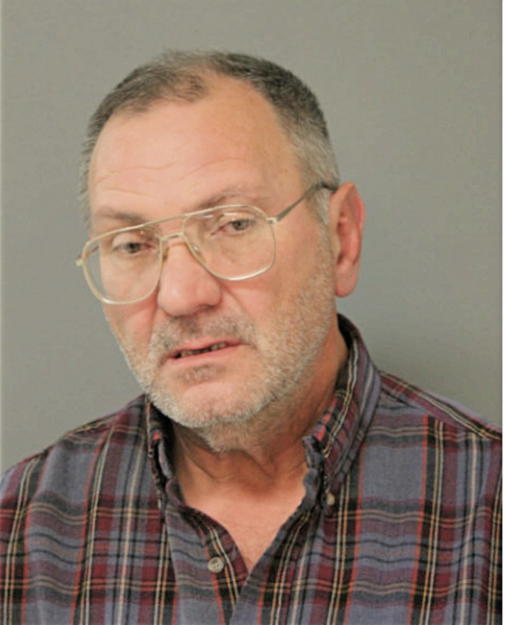 NASIH BAJRAKTAREVIC, Cook County, Illinois