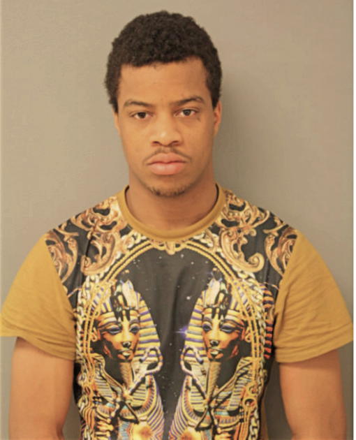 SINSAY DAVIS, Cook County, Illinois