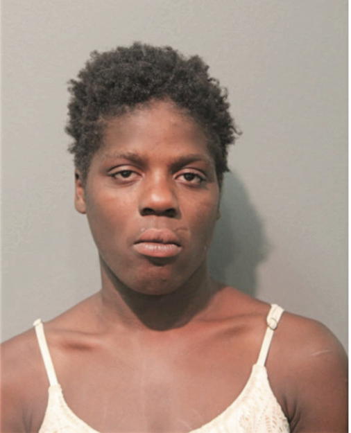 BRIANA L FERGUSON, Cook County, Illinois