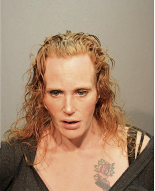 GENNA R FINN, Cook County, Illinois