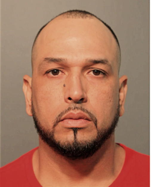 LUIS E FLORES, Cook County, Illinois