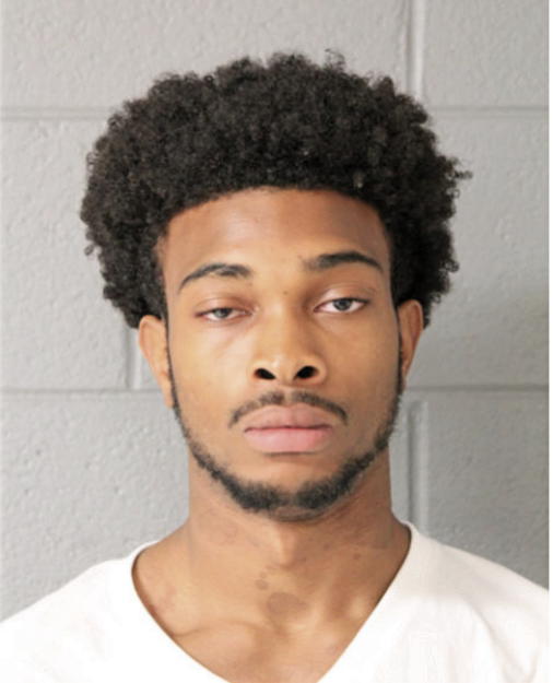TERRANCE S FOSTER, Cook County, Illinois