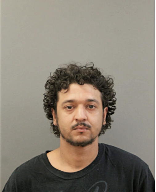 MARIO N FOURNIER, Cook County, Illinois