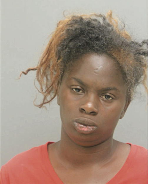 DESTINY L GREYER, Cook County, Illinois
