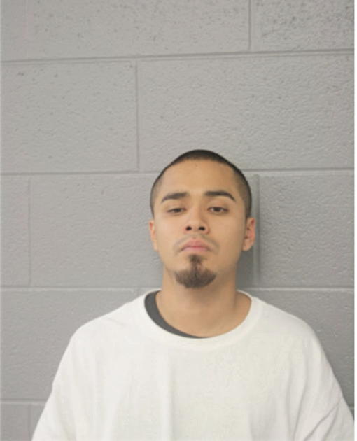 DIEGO E HERNANDEZ, Cook County, Illinois