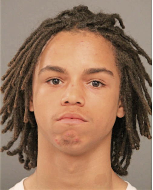 CHRISTOPHER T JOHNSON, Cook County, Illinois