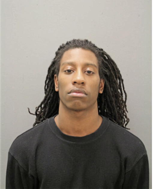 DAVID R JOHNSON, Cook County, Illinois