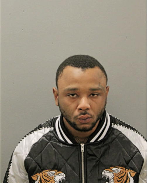 MATTHEW K WRIGHT, Cook County, Illinois