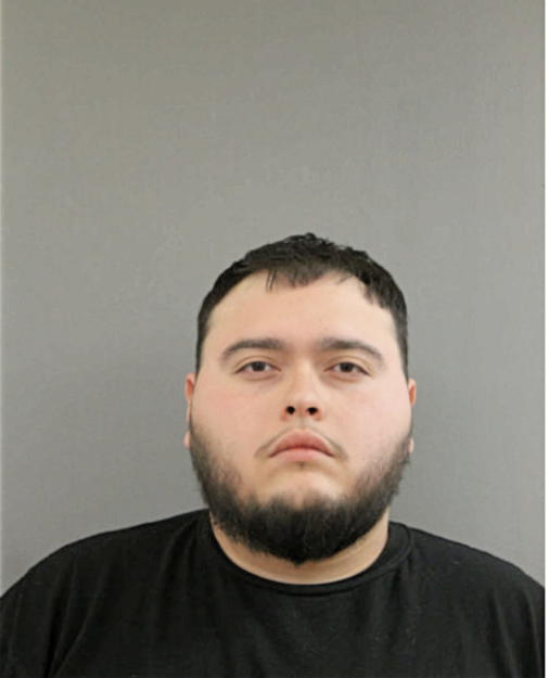 GIOVANNI J LONGORIA, Cook County, Illinois
