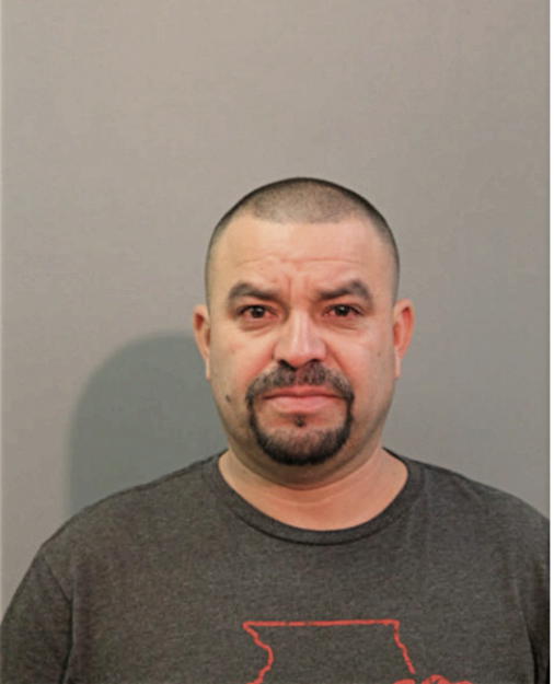 SERGIO MARTINEZ-ABOYTE, Cook County, Illinois