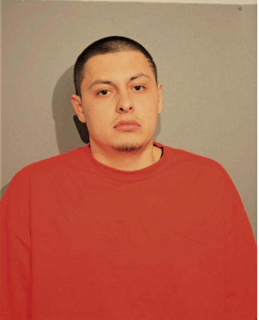NOHE S MARTINEZ, Cook County, Illinois