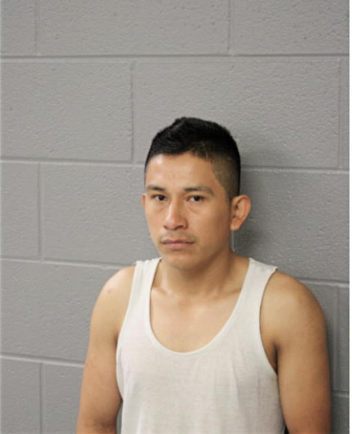 MARIO MENDEZ, Cook County, Illinois
