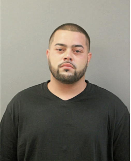 JERRY A NEGRON, Cook County, Illinois