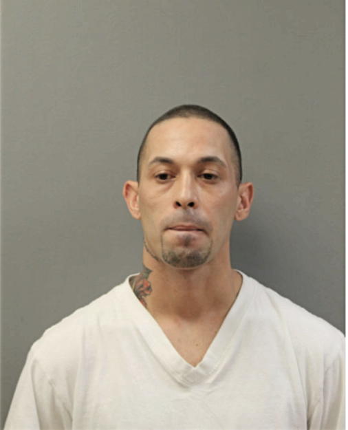 OMAR A NEGRON, Cook County, Illinois
