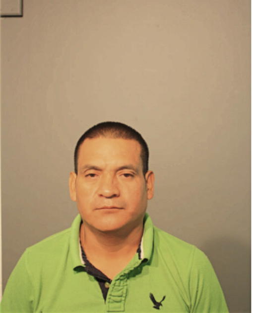 WILSON D PATINO-VANEGAS, Cook County, Illinois