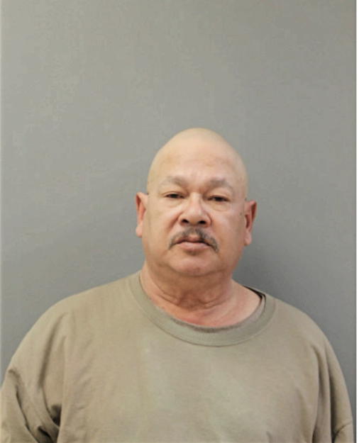 FREDDY A ROMAN, Cook County, Illinois