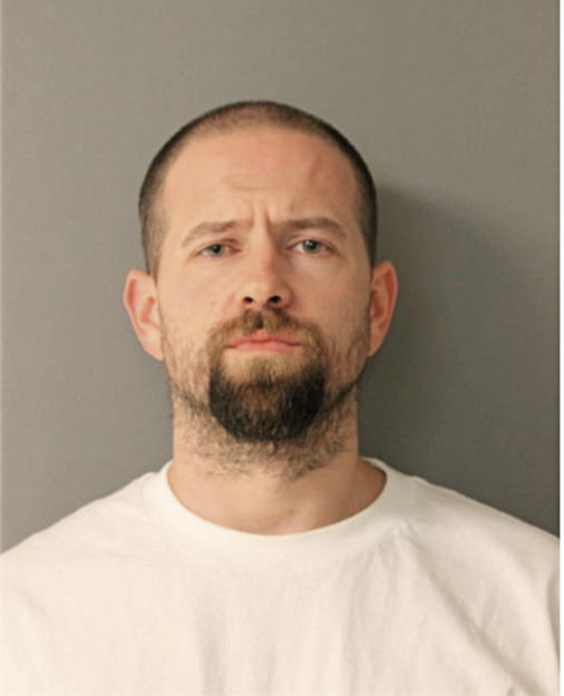 DONALD P RYAN, Cook County, Illinois
