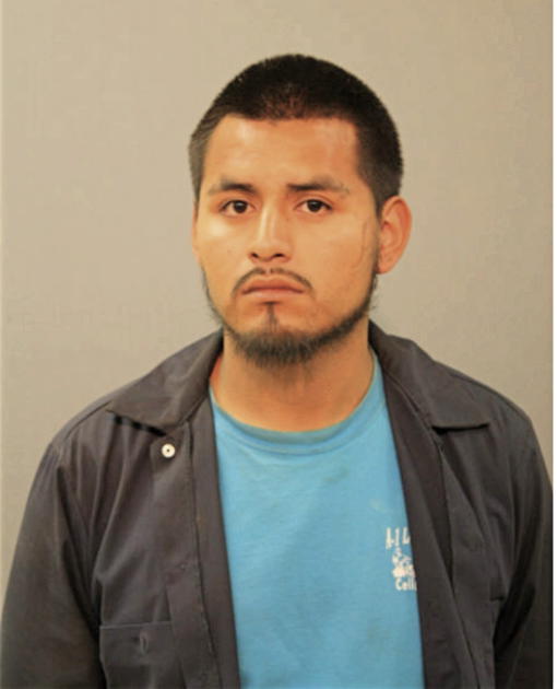 JUAN J SANTANA, Cook County, Illinois