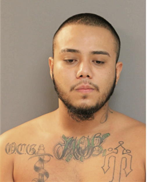 YONATHAN TAMAYO, Cook County, Illinois