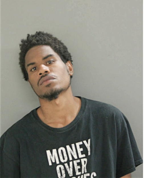 NICHOLAS T WILSON, Cook County, Illinois
