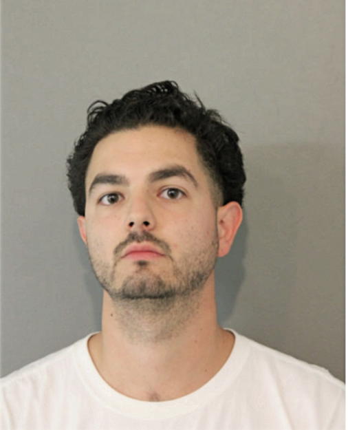 NICKOLAS A CHIAPPETTI, Cook County, Illinois
