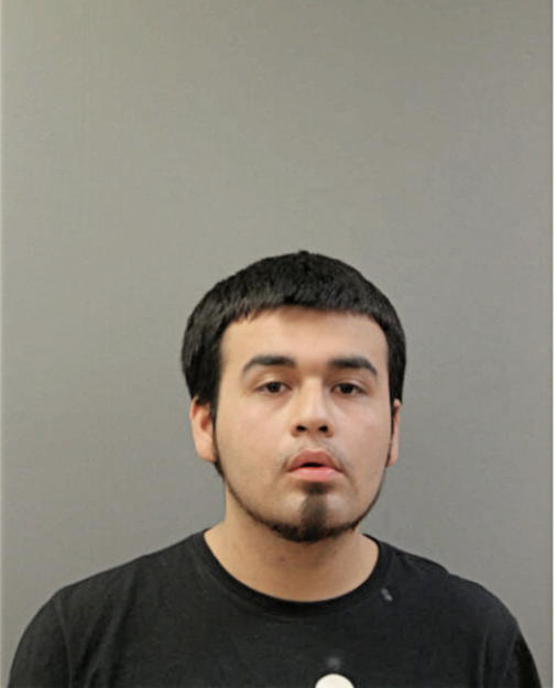 CHRISTIAN GONZALEZ, Cook County, Illinois