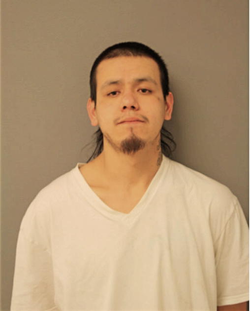 EDUARDO GONZALEZ, Cook County, Illinois