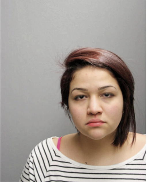 VANESSA A GONZALEZ, Cook County, Illinois