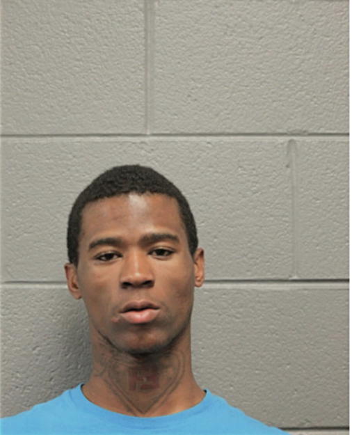 BRIAN K HALL, Cook County, Illinois