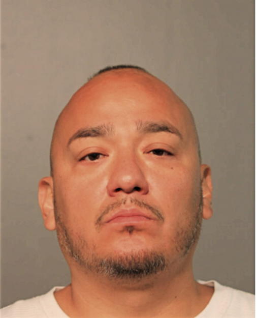 PAUL A LARREA, Cook County, Illinois