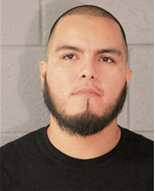 ELEBALDO MEJIA, Cook County, Illinois