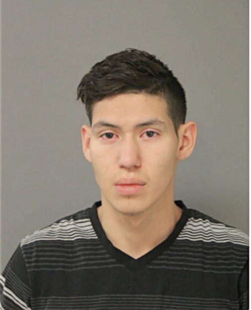 JOSIAH D ORTIZ, Cook County, Illinois