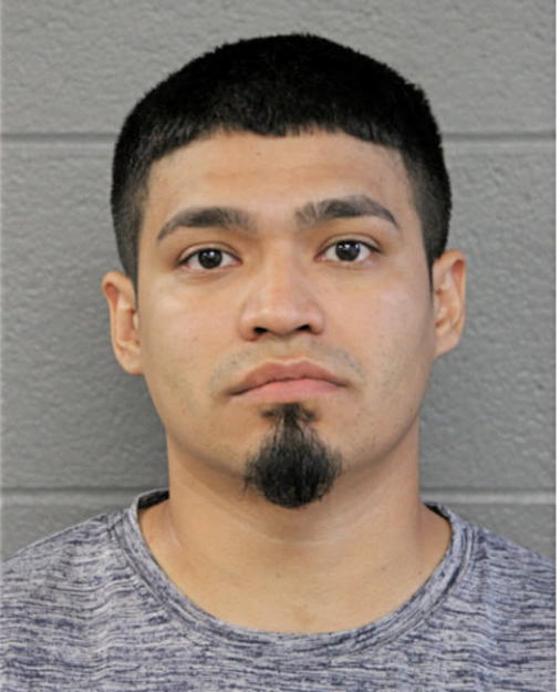 RAUL PEDROZA, Cook County, Illinois