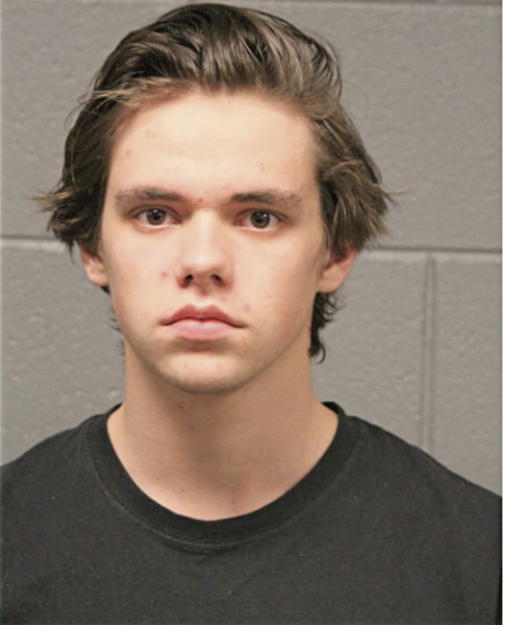 CHARLES J SNYDER, Cook County, Illinois