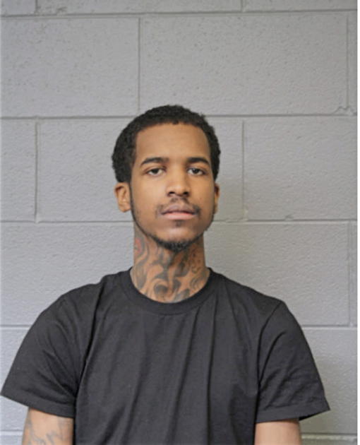 TAYLOR L TAVARES, Cook County, Illinois