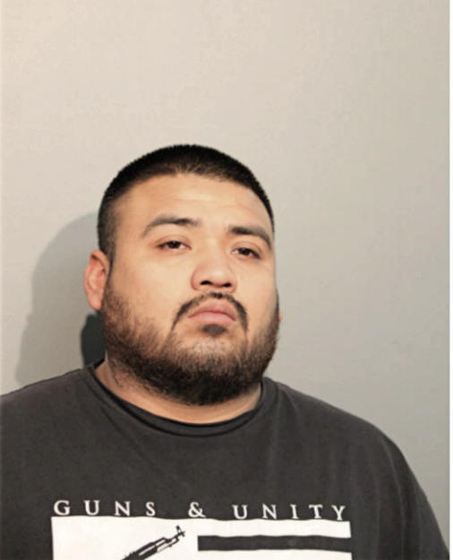 JUAN A TLASECA, Cook County, Illinois