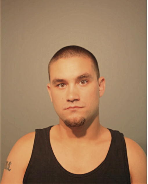 KYLE C WOLF, Cook County, Illinois