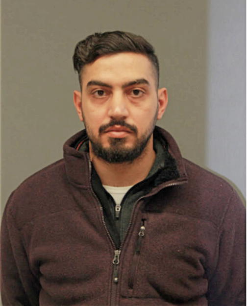 MOHAMMAD Z ALHNAITY, Cook County, Illinois