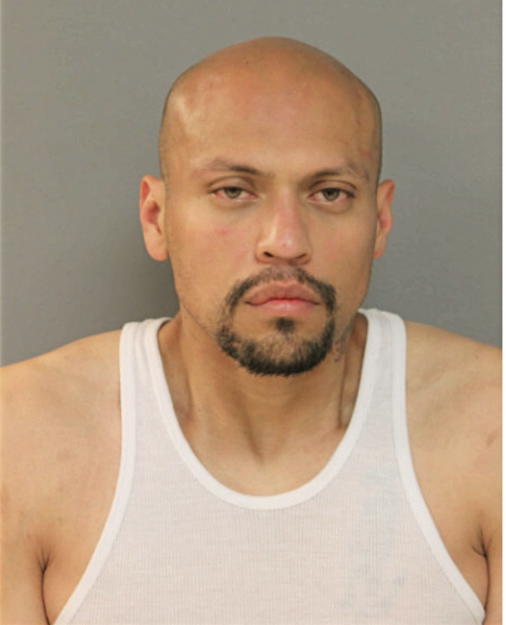 ARMANDO A AVALOS, Cook County, Illinois