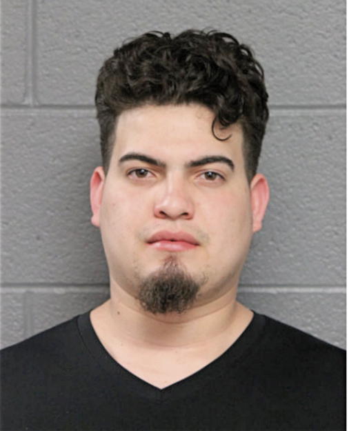 DICXI BARAHONA-TROCHEZ, Cook County, Illinois