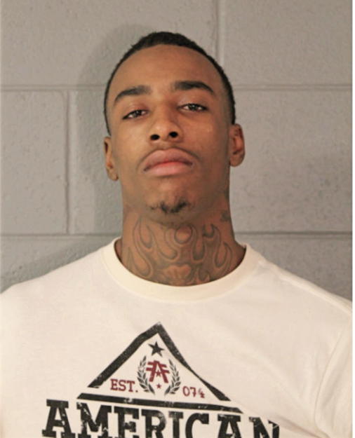BRANDON L BROWN, Cook County, Illinois