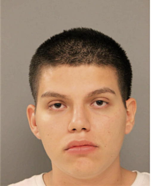 FRANK F CERDA, Cook County, Illinois
