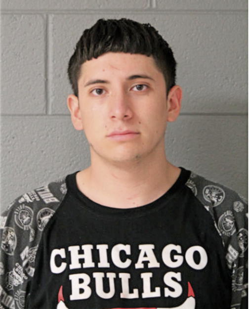 LUIS A DURAN, Cook County, Illinois