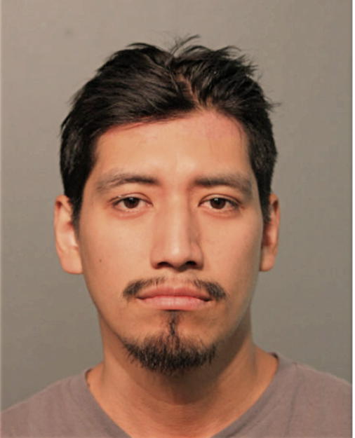 JUAN A ESCALANTE, Cook County, Illinois