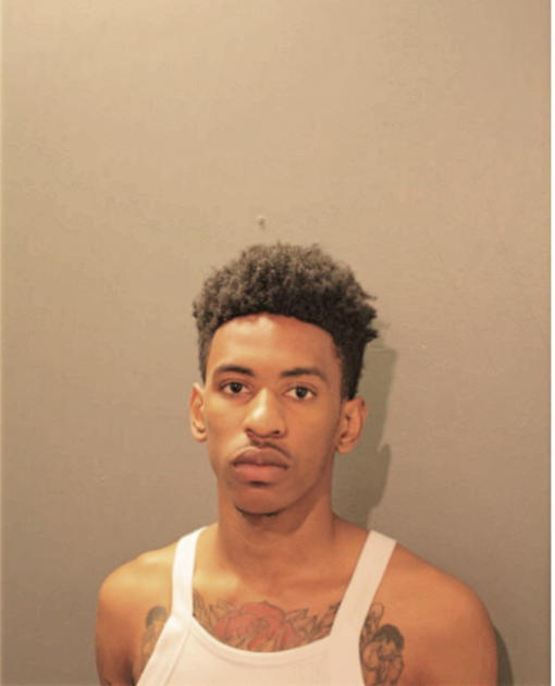 DEMARION R HOUSTON, Cook County, Illinois