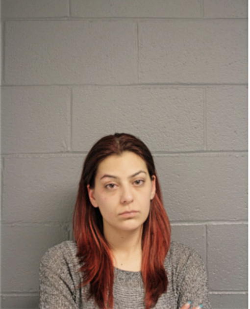 CHRISTINA S LEANARDI, Cook County, Illinois