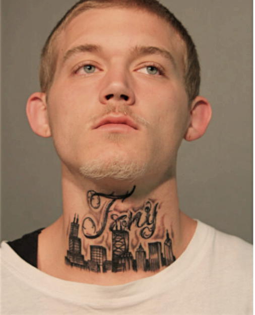 ANTHONY T LEMKE, Cook County, Illinois