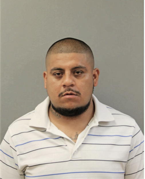 ABEL DE LEON MORALES, Cook County, Illinois